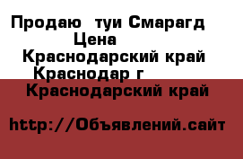 Продаю  туи Смарагд.  › Цена ­ 250 - Краснодарский край, Краснодар г.  »    . Краснодарский край